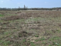 Ballószög Industrial area 1