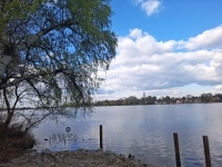 Ráckeve Einfamilienhaus 18