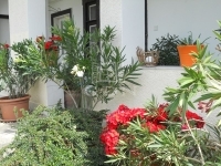 Tököl Family House 37