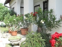Tököl Family House 34