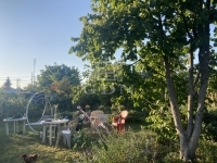 Budapest XXII. kerület Wohngrundstück 13