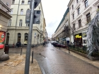 Budapest VII. kerület Wohnung (Ziegel) 17
