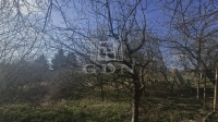 Bak Family House 10