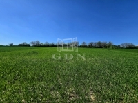 Kéthely 夏季别墅 13