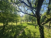 Zalaegerszeg Reihenhaus 18