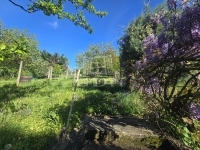 Zalaegerszeg Reihenhaus 14