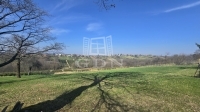 Zalaegerszeg Telek 3